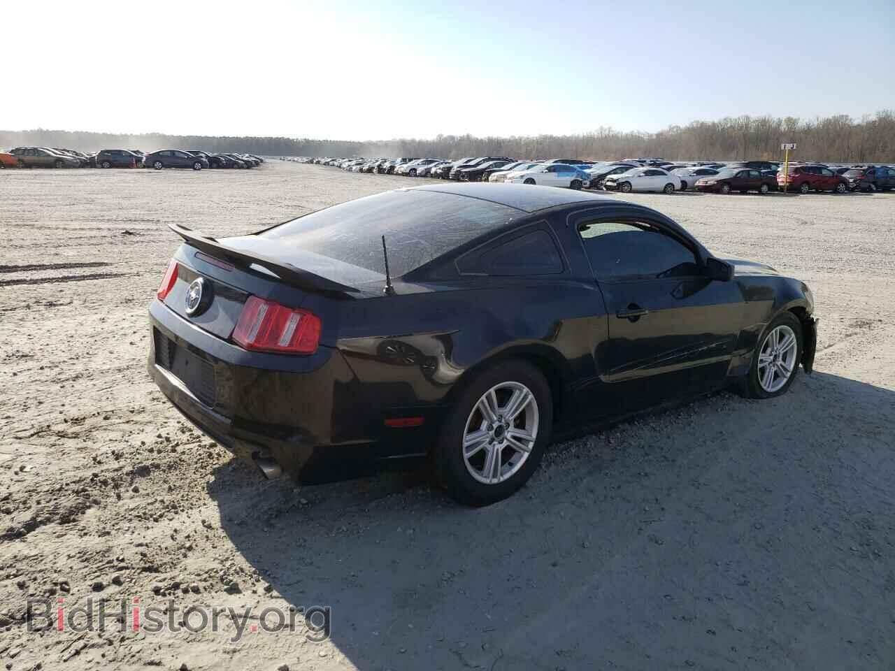 2013 FORD MUSTANG - VIN: 1ZVBP8AM4D5244390 - Фото 3