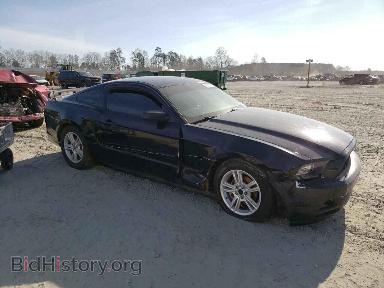 2013 FORD MUSTANG - VIN: 1ZVBP8AM4D5244390 - Фото 4
