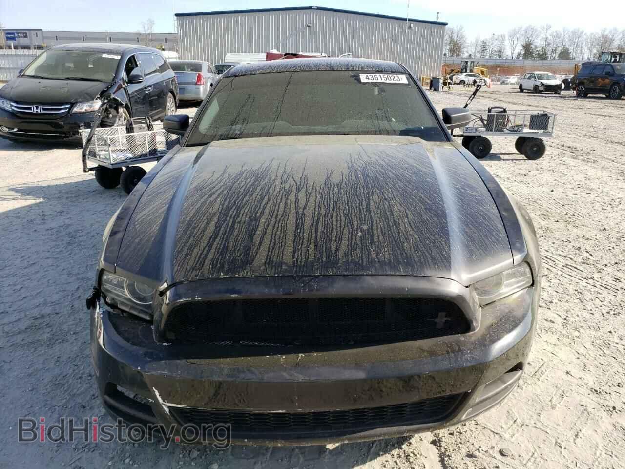 2013 FORD MUSTANG - VIN: 1ZVBP8AM4D5244390 - Фото 5