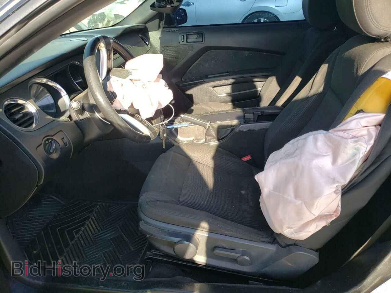 2013 FORD MUSTANG - VIN: 1ZVBP8AM4D5244390 - Фото 7
