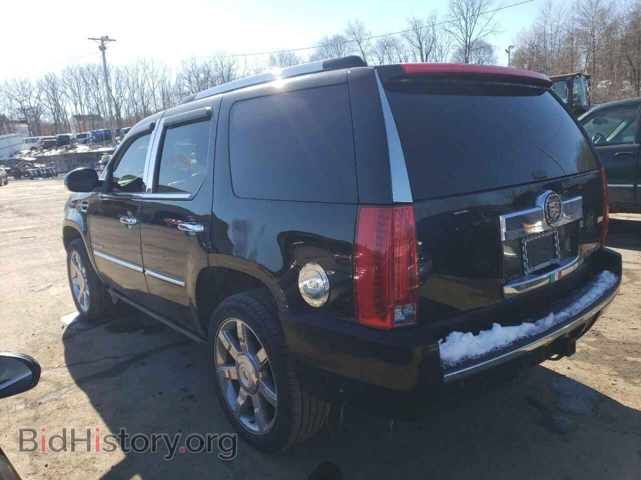 2011 CADILLAC ESCALADE - VIN: 1GYS4CEF8BR237212 - Фото 2