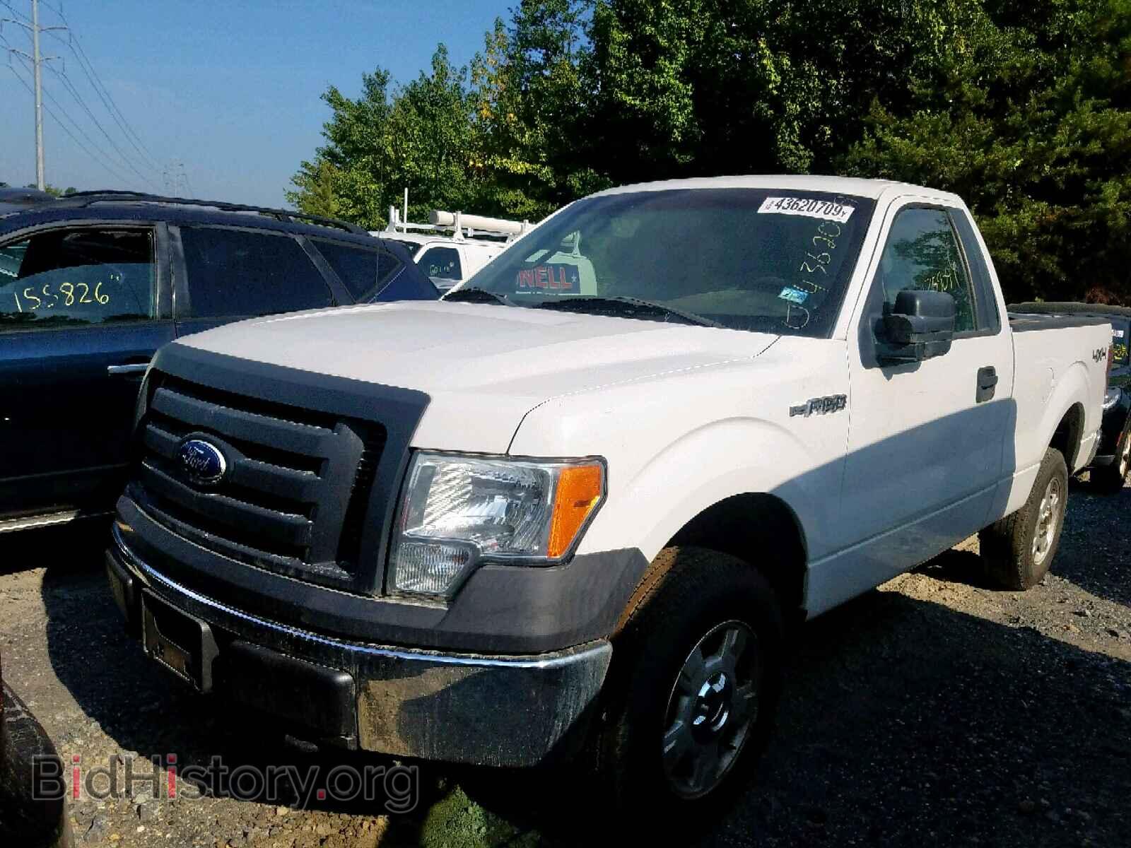 2011 FORD F150 - VIN: 1FTMF1EF6BFA78401 - Фото 2