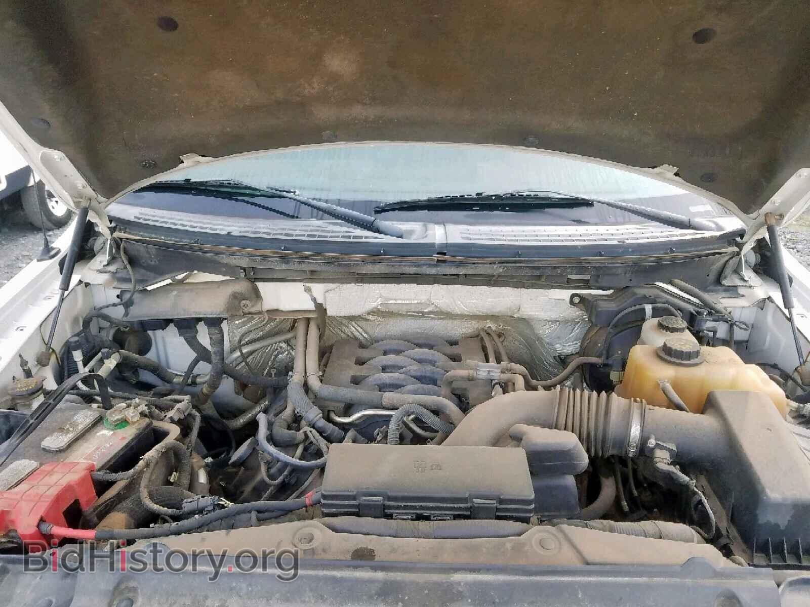 2011 FORD F150 - VIN: 1FTMF1EF6BFA78401 - Фото 7