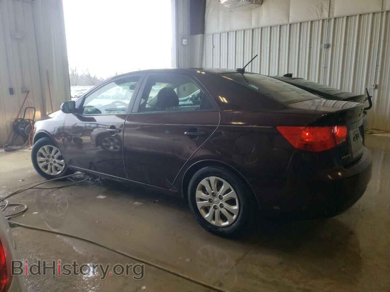 2011 KIA FORTE - VIN: KNAFU4A23B5358606 - Фото 2