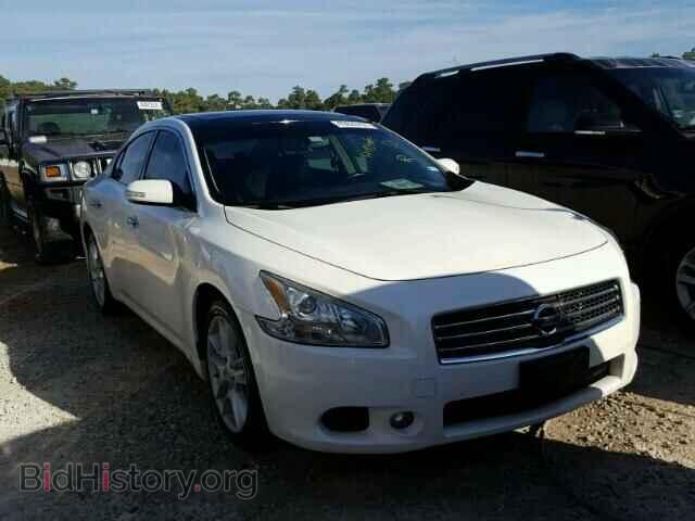 Photo 1N4AA51E49C819202 - NISSAN MAXIMA S 2009