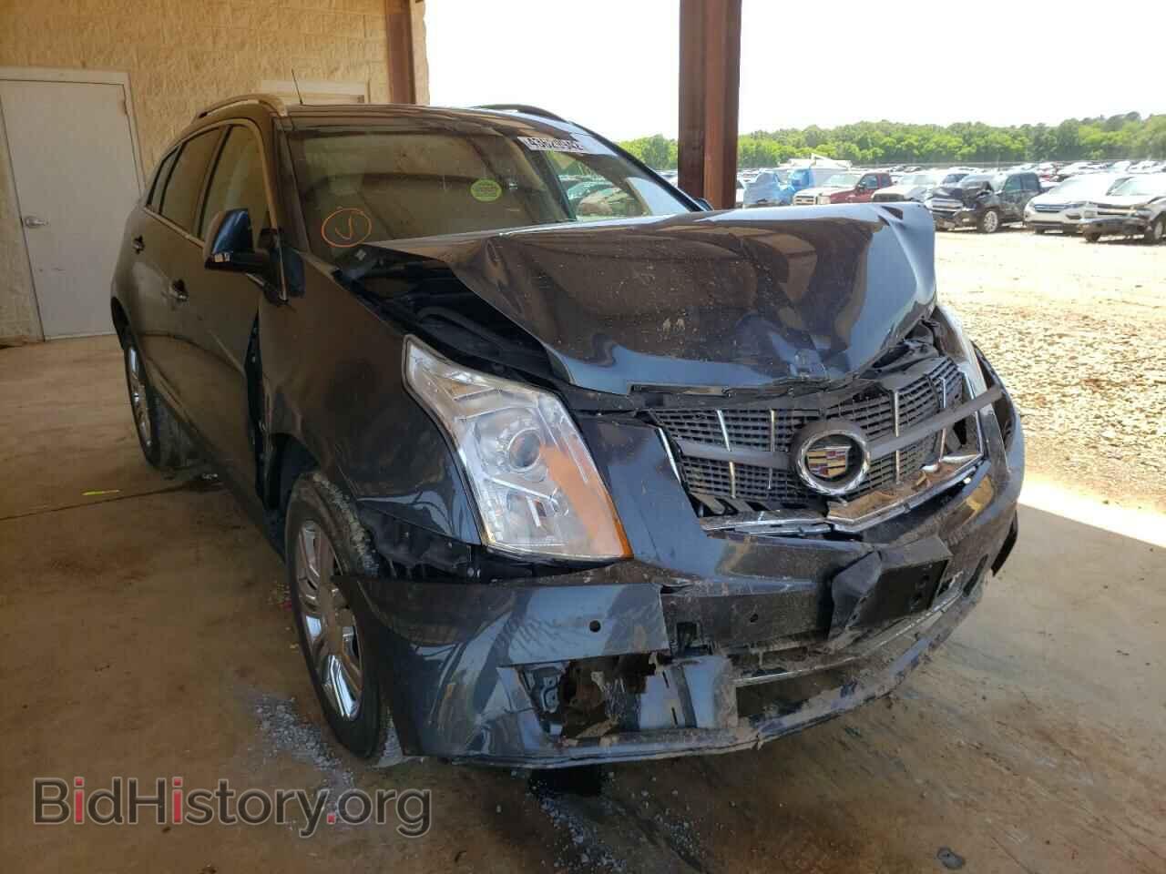 Фотография 3GYFNAEY5BS540708 - CADILLAC SRX 2011