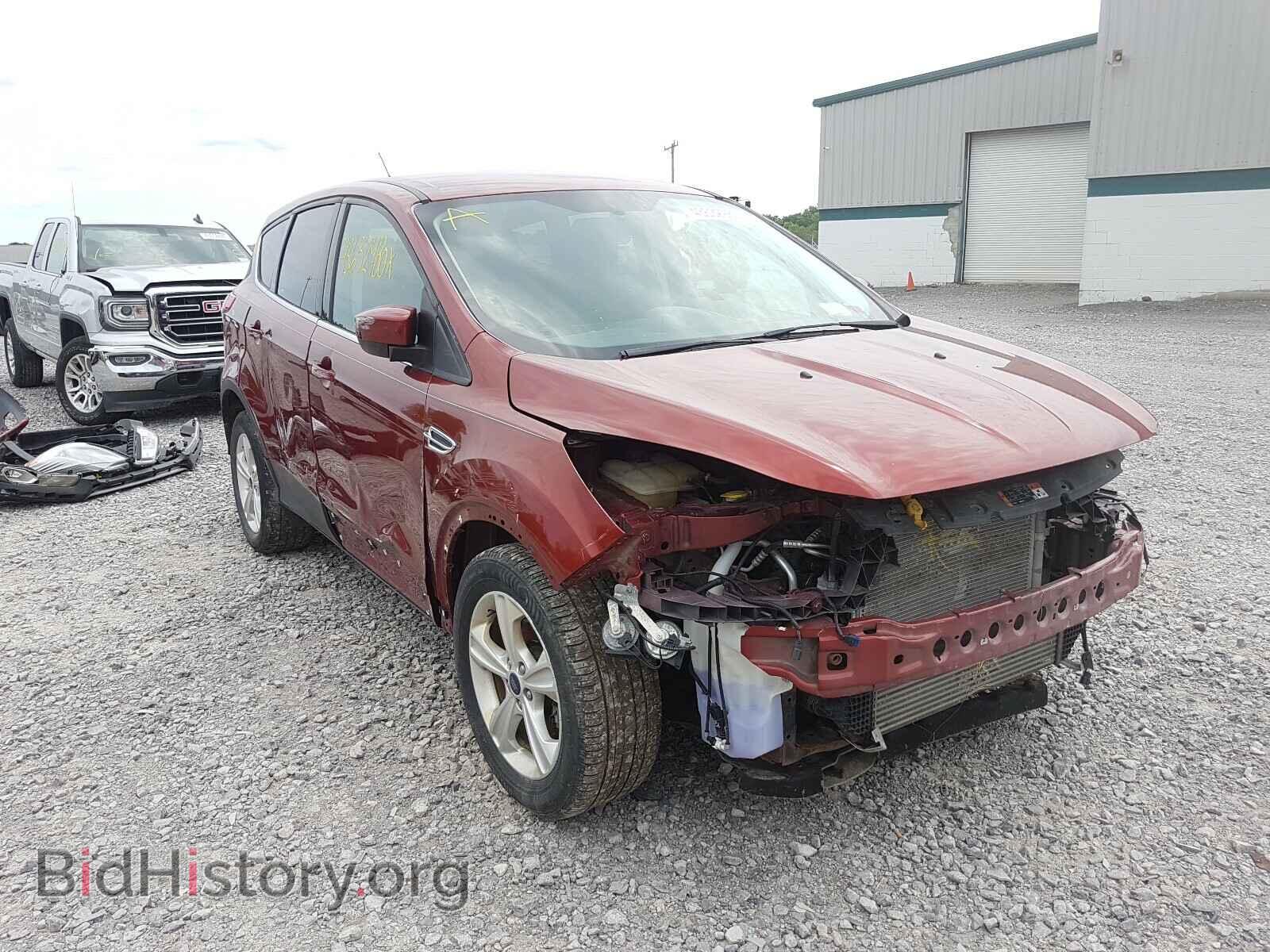Photo 1FMCU0GX7EUC09073 - FORD ESCAPE 2014