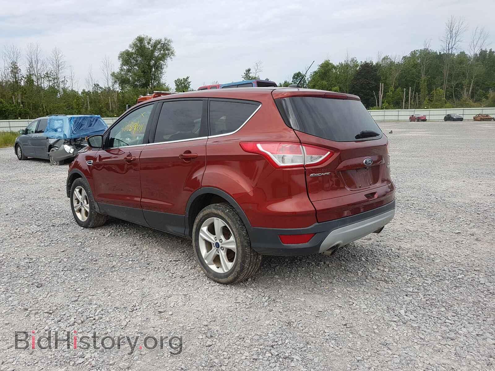 2014 FORD ESCAPE - VIN: 1FMCU0GX7EUC09073 - Фото 3