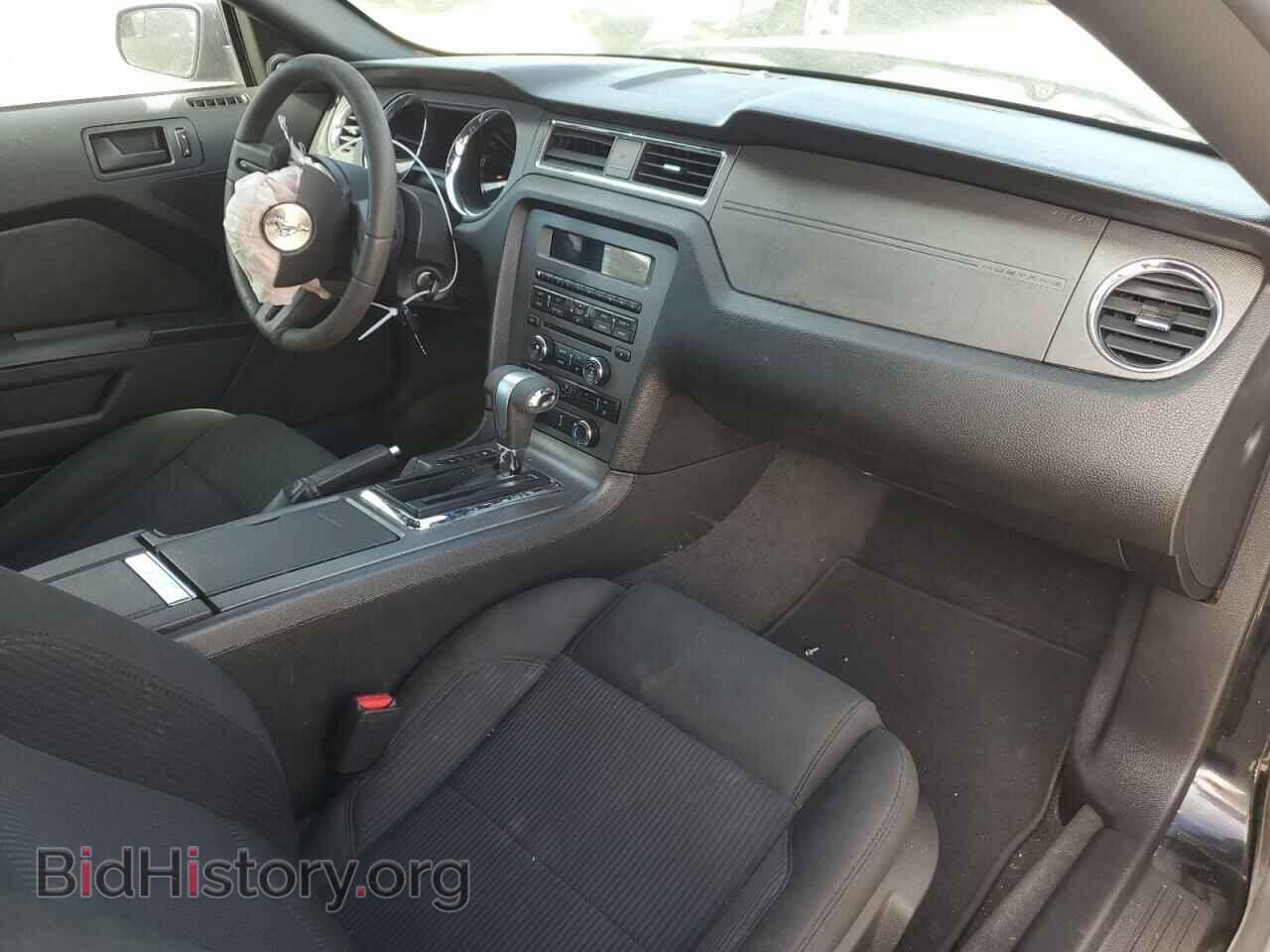 2011 FORD ALL Models - VIN: 1ZVBP8AM5B5116642 - Фото 8