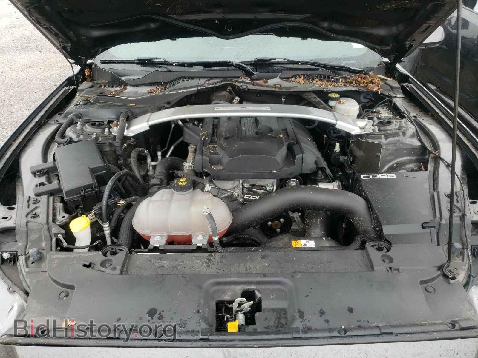2017 FORD MUSTANG - VIN: 1FA6P8TH3H5323291 - Фото 7