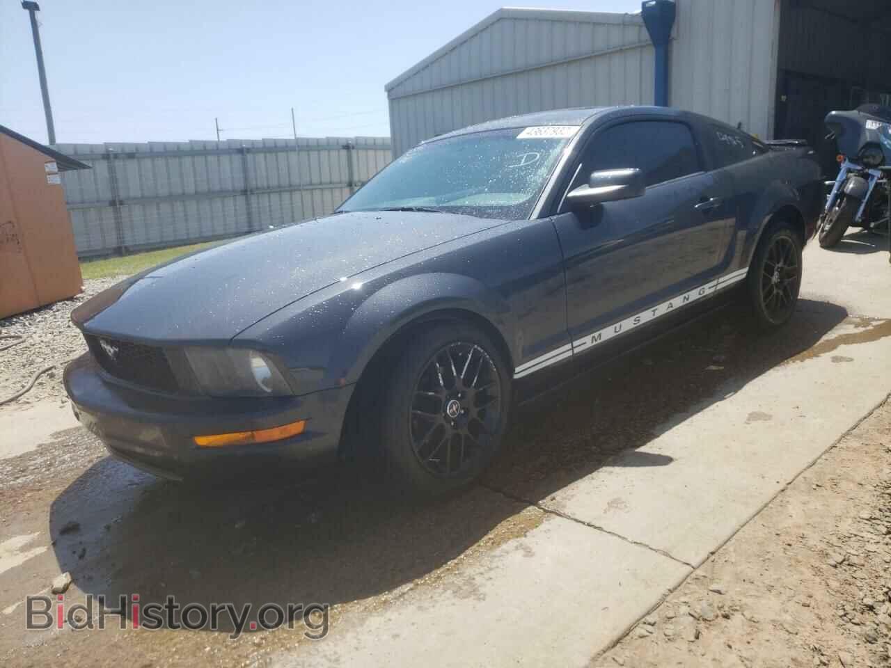 2009 FORD MUSTANG - VIN: 1ZVHT80N695137901 - Фото 2