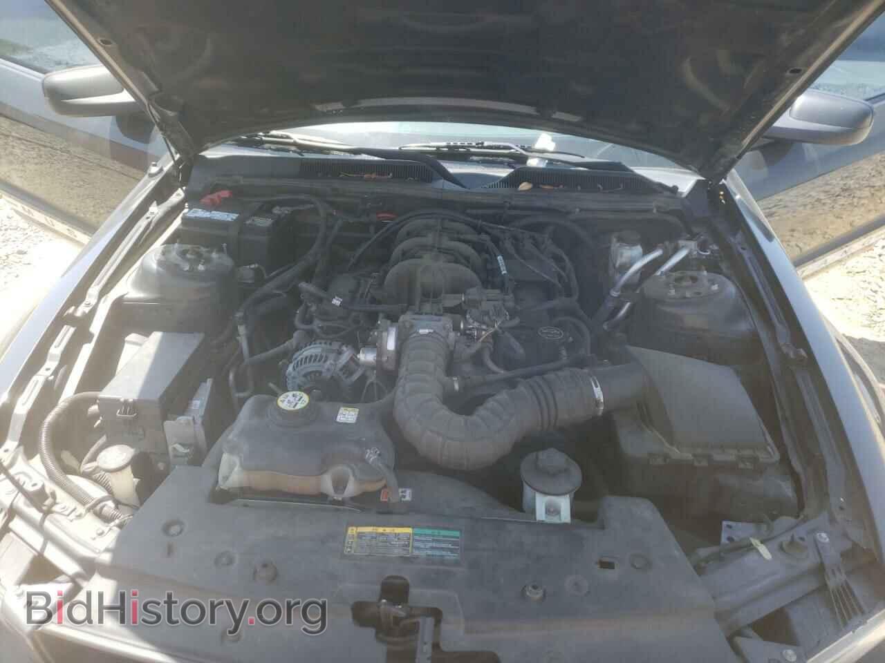 2009 FORD MUSTANG - VIN: 1ZVHT80N695137901 - Фото 7