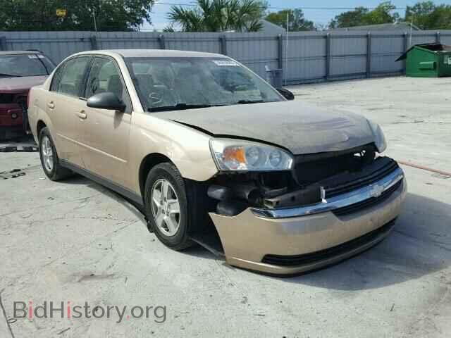 Photo 1G1ZS52F25F236162 - CHEVROLET MALIBU 2005
