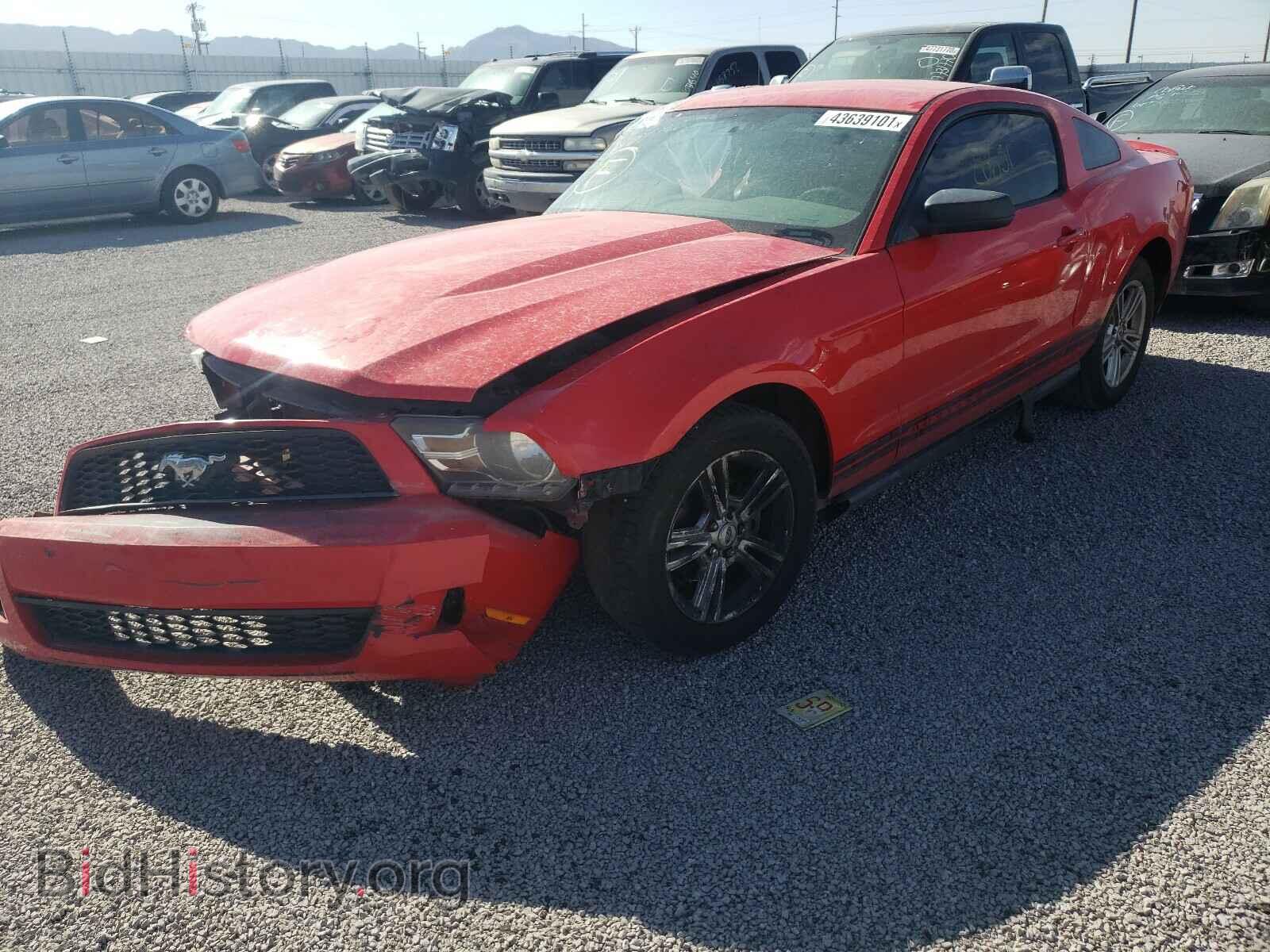 2010 FORD MUSTANG - VIN: 1ZVBP8AN3A5132393 - Фото 2