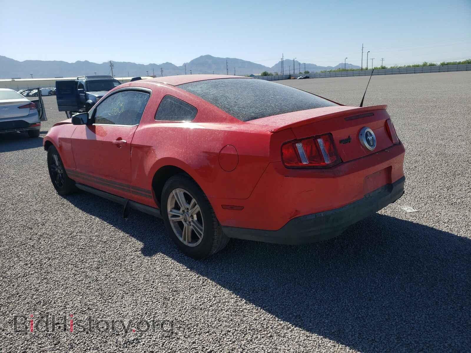 2010 FORD MUSTANG - VIN: 1ZVBP8AN3A5132393 - Фото 3