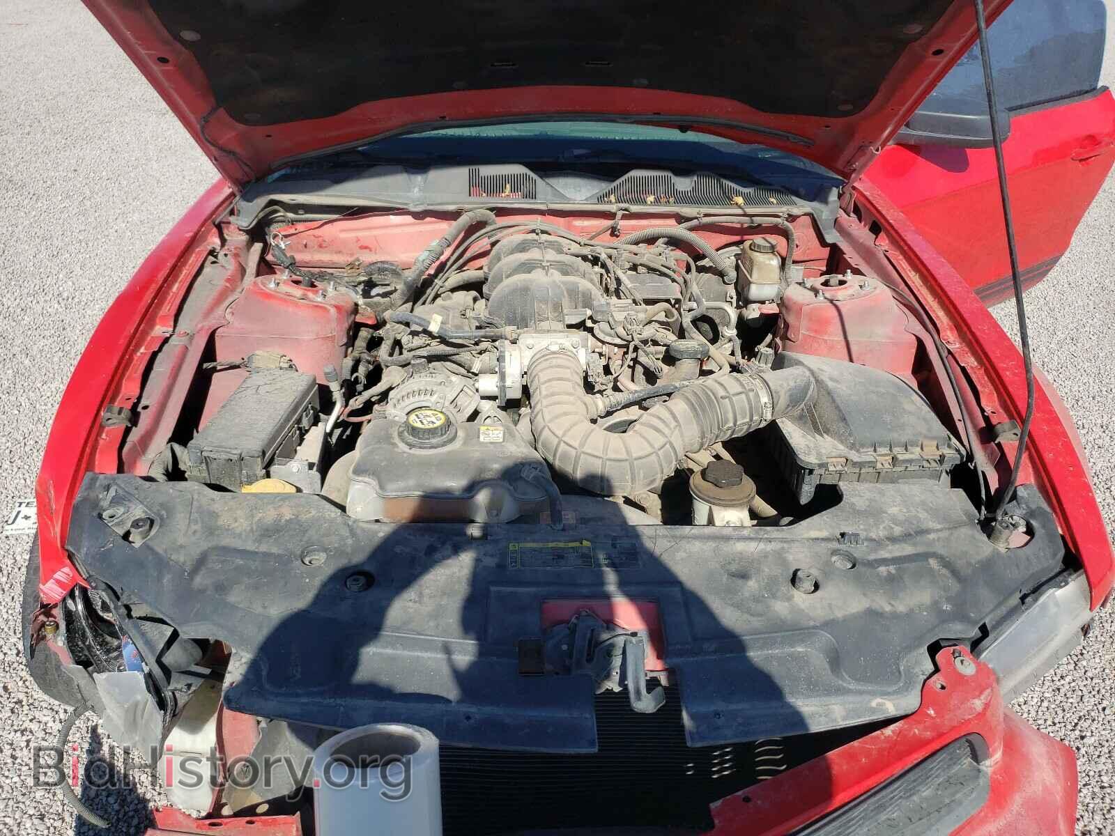 2010 FORD MUSTANG - VIN: 1ZVBP8AN3A5132393 - Фото 7