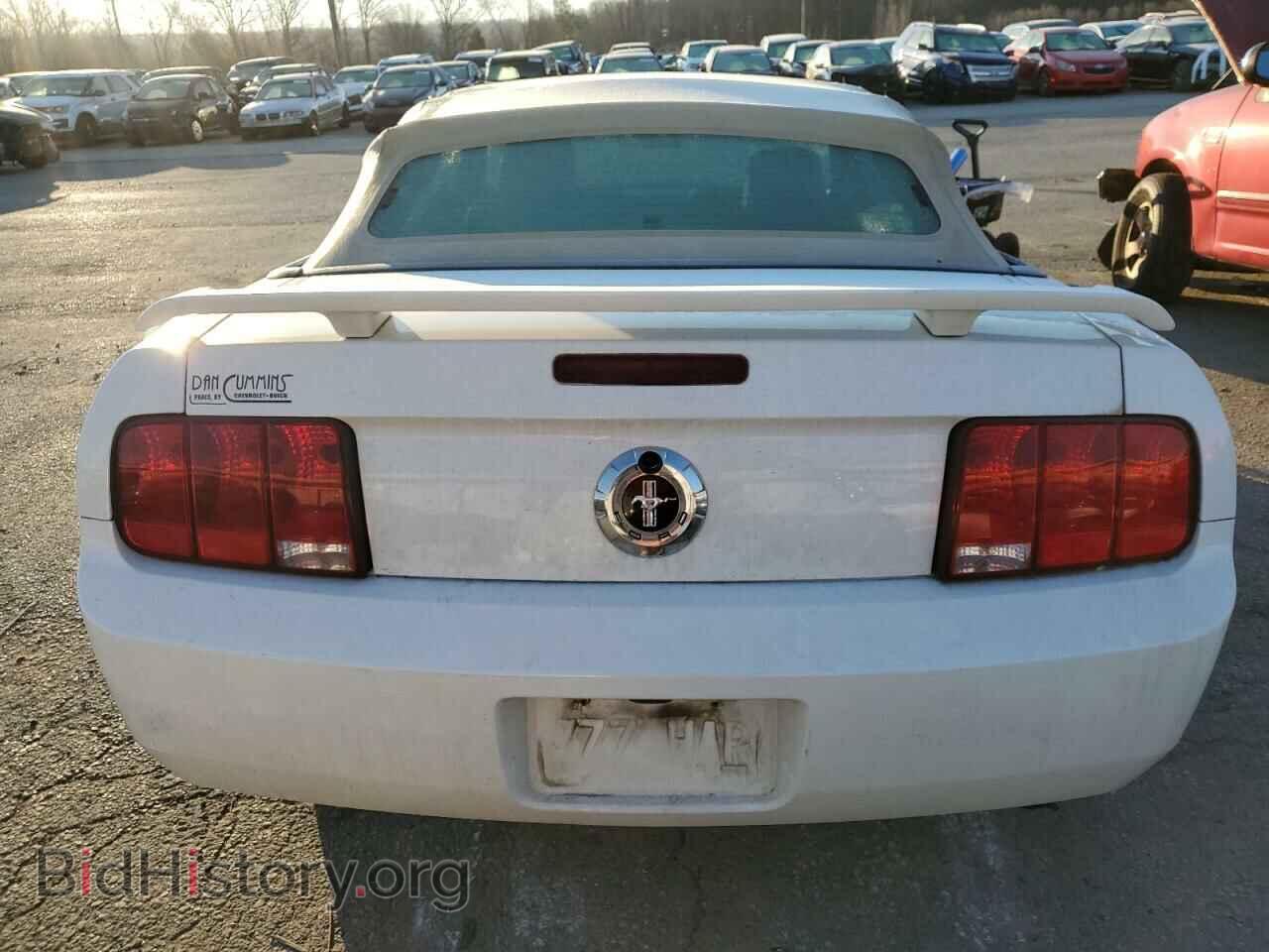 2006 FORD ALL Models - VIN: 1ZVFT84N665202405 - Фото 6