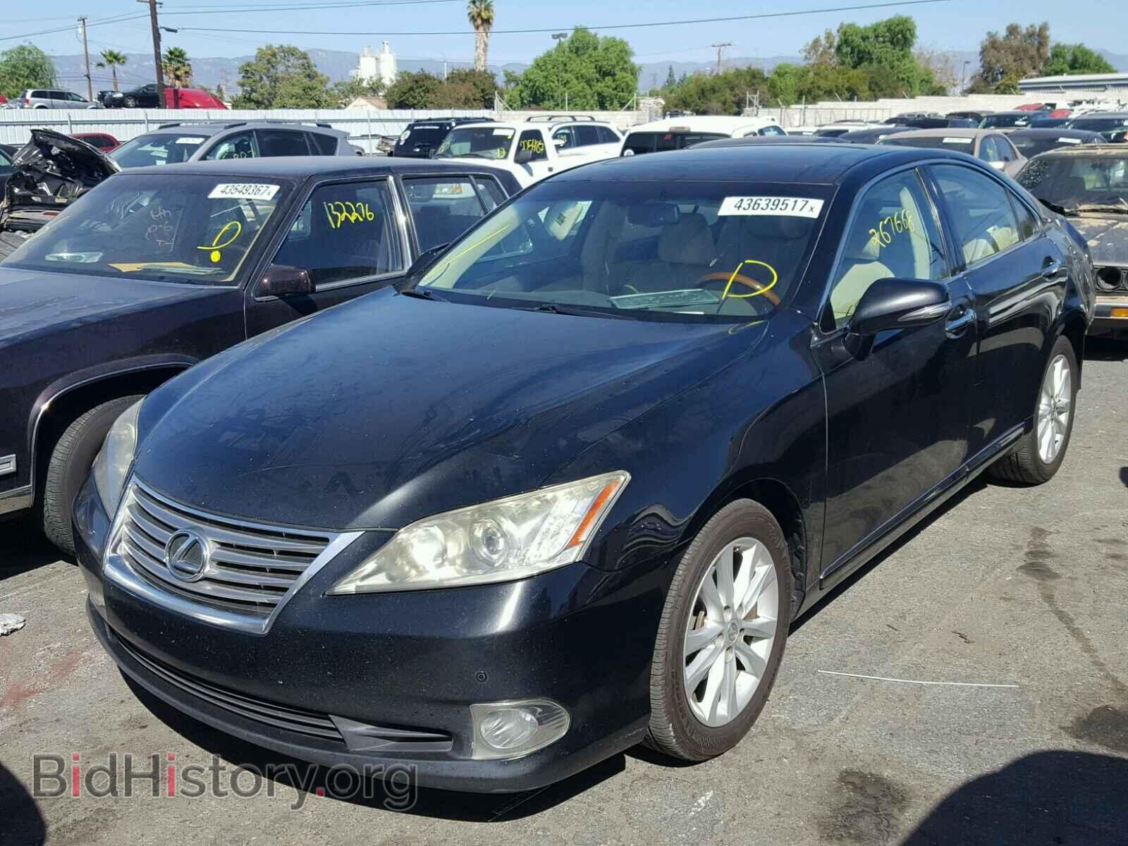 2010 LEXUS ES 350 - VIN: JTHBK1EG3A2343579 - Фото 2