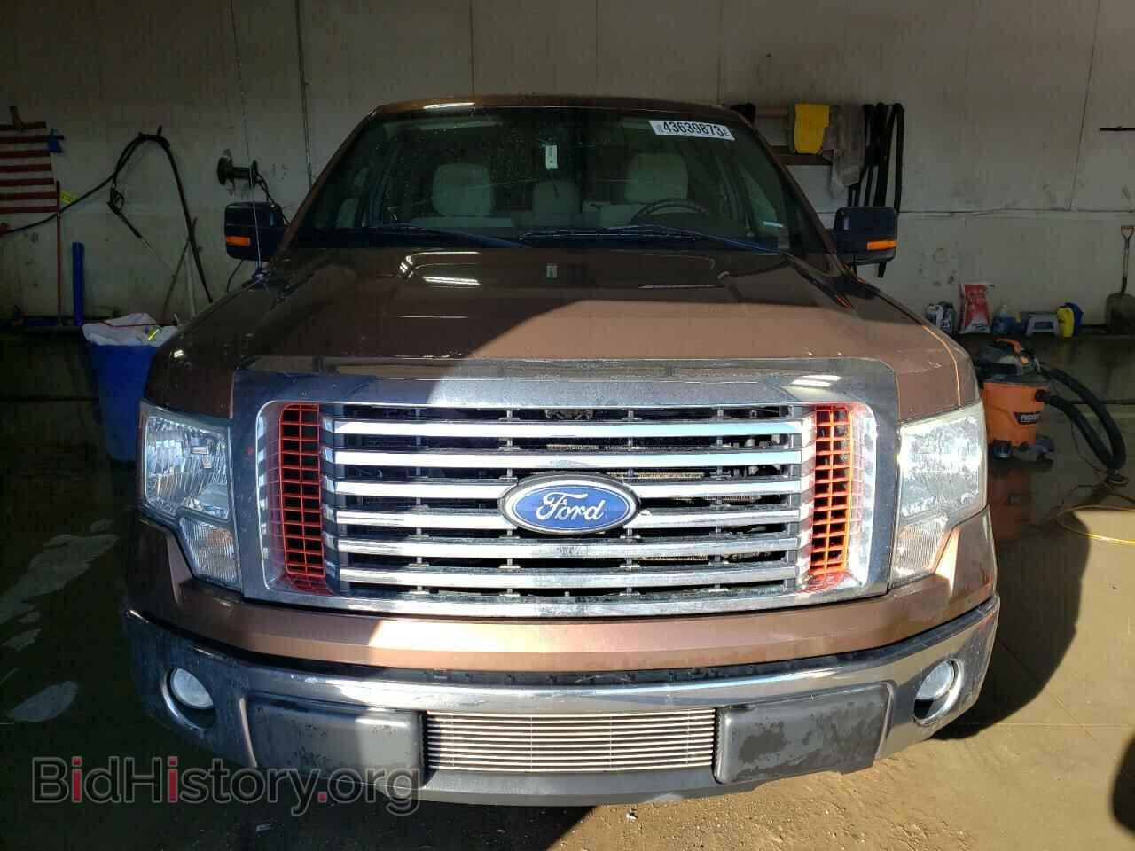 2011 FORD F-150 - VIN: 1FTFX1EF4BFA71467 - Фото 5