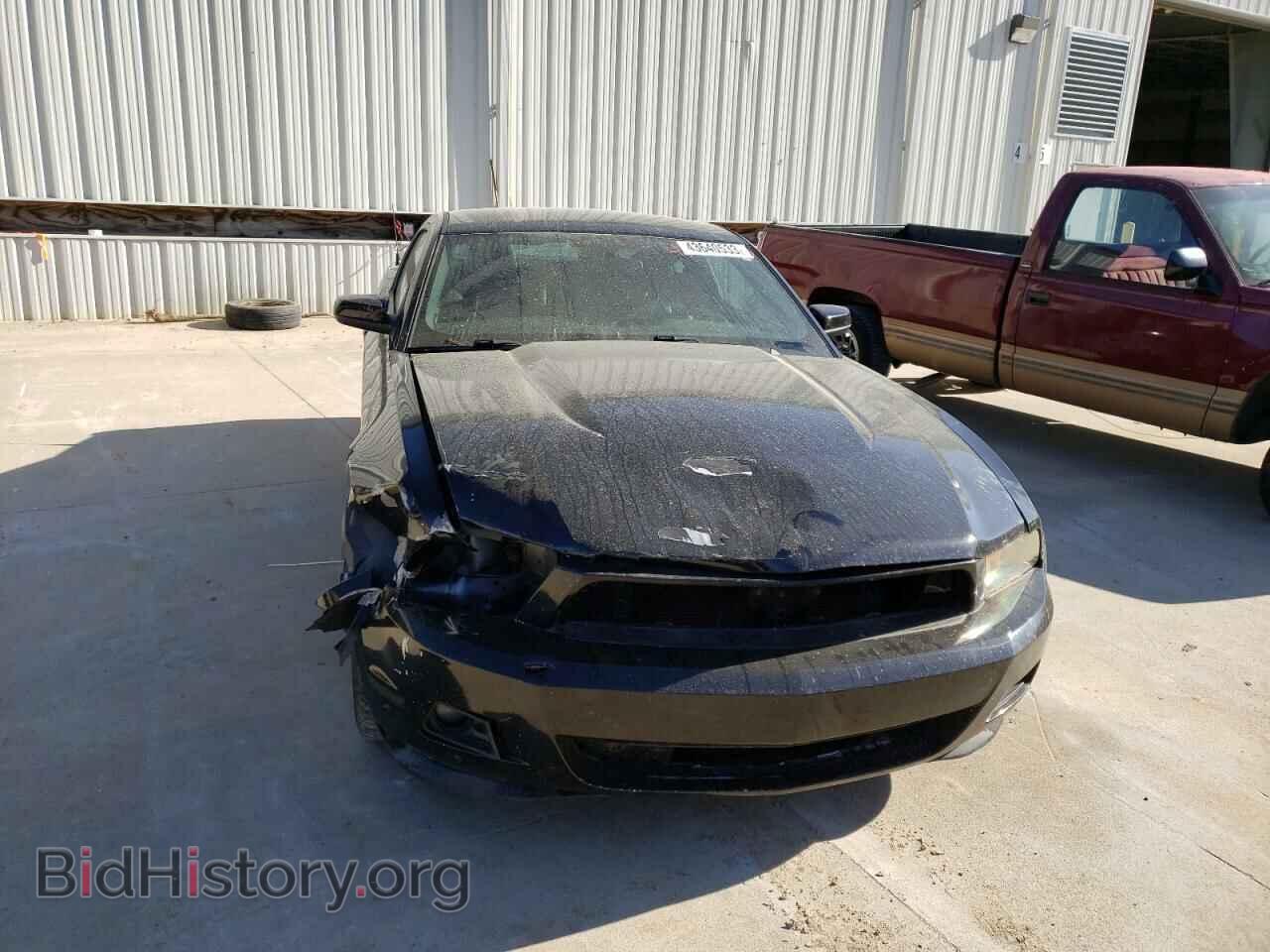 2011 FORD MUSTANG - VIN: 1ZVBP8AM2B5118736 - Фото 5