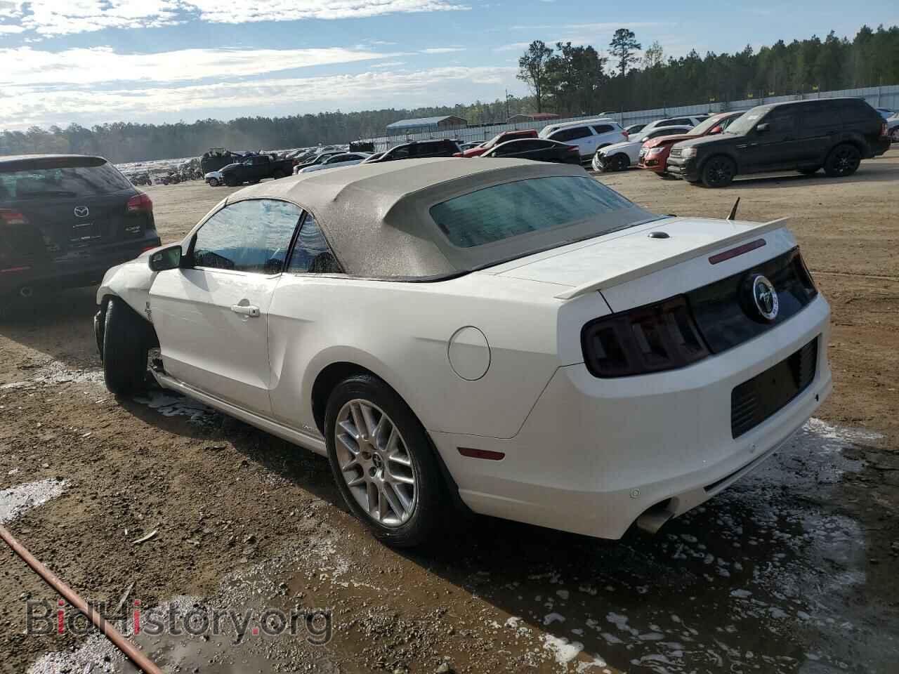 2013 FORD MUSTANG - VIN: 1ZVBP8EM4D5253651 - Фото 3