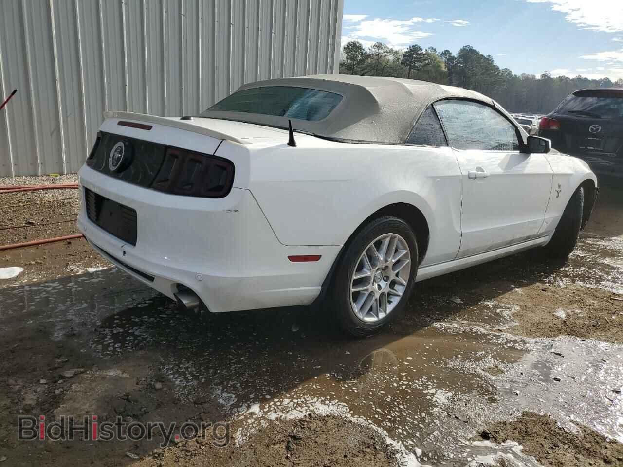 2013 FORD MUSTANG - VIN: 1ZVBP8EM4D5253651 - Фото 4