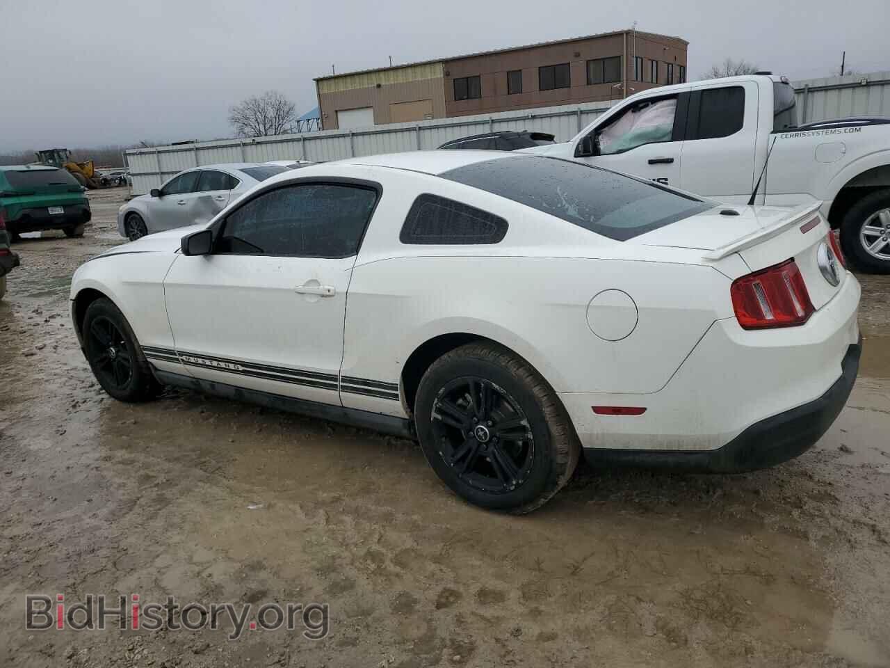 2010 FORD ALL Models - VIN: 1ZVBP8AN9A5127537 - Фото 2