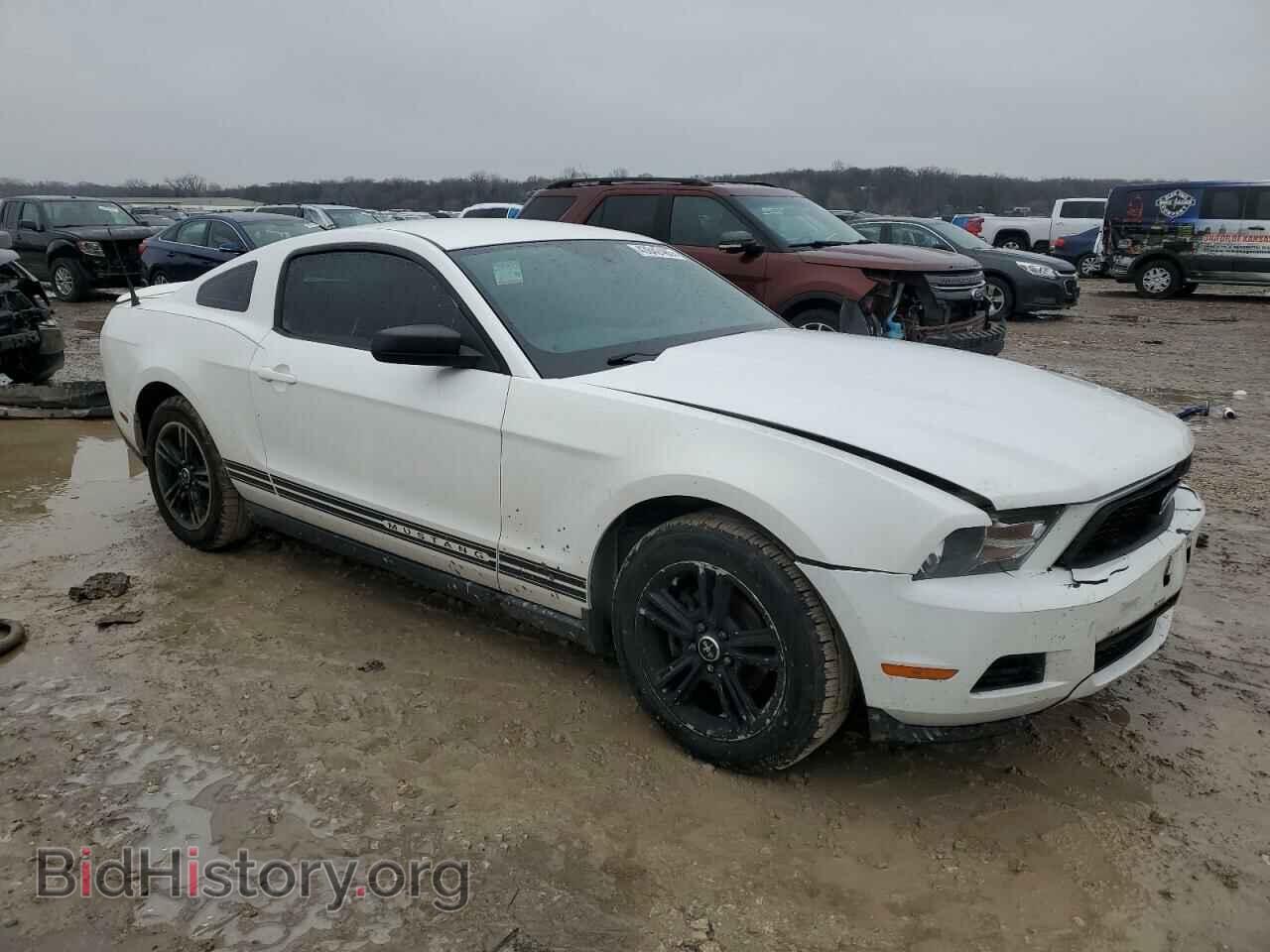 2010 FORD ALL Models - VIN: 1ZVBP8AN9A5127537 - Фото 4