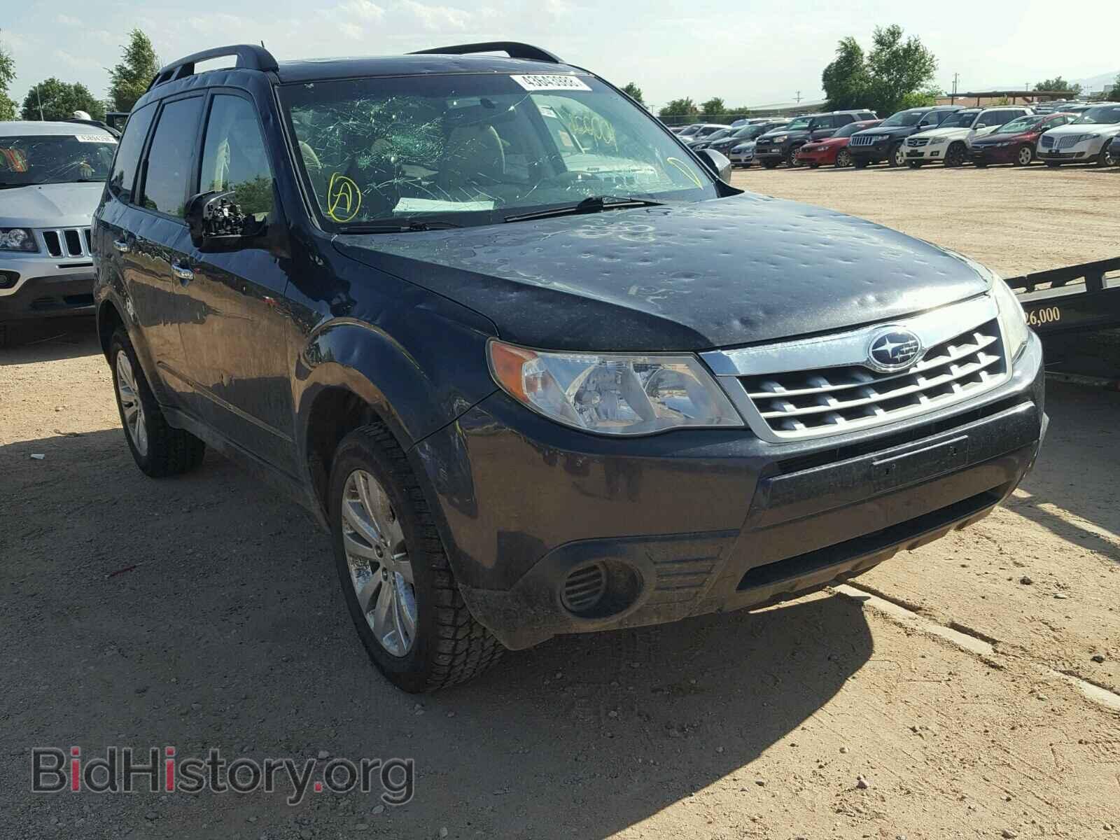 Фотография JF2SHACC2DH427802 - SUBARU FORESTER 2013