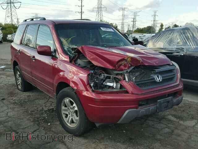 Фотография 2HKYF18415H541678 - HONDA PILOT 2005