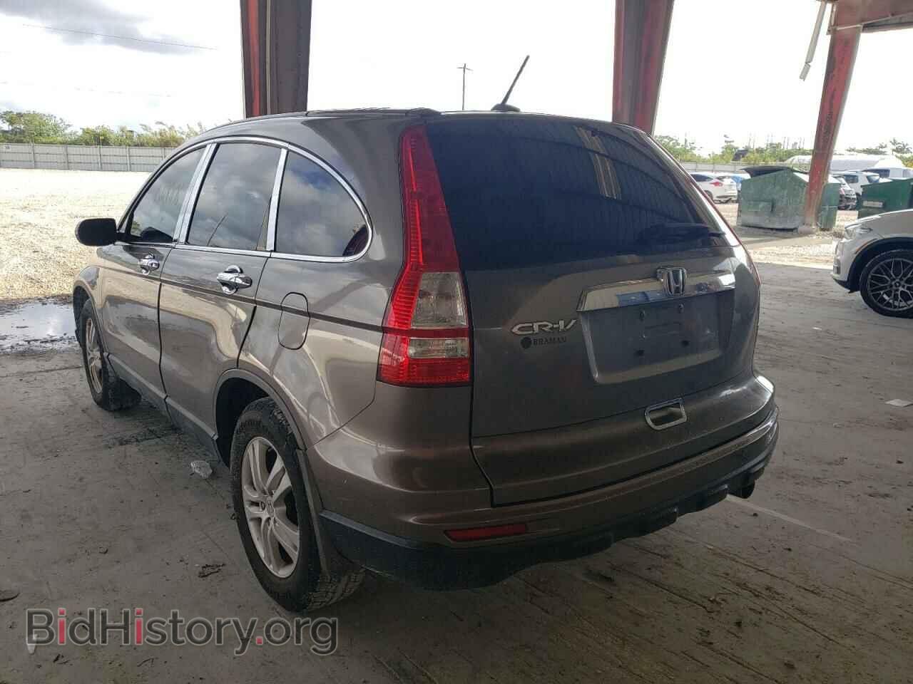 2010 HONDA CRV - VIN: 5J6RE3H73AL007773 - Фото 3