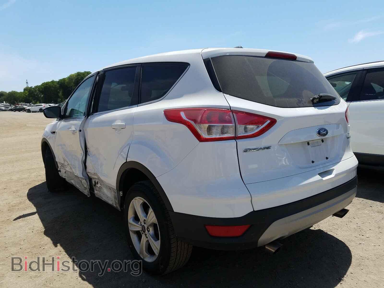 2013 FORD ESCAPE - VIN: 1FMCU0GX2DUD92977 - Фото 3