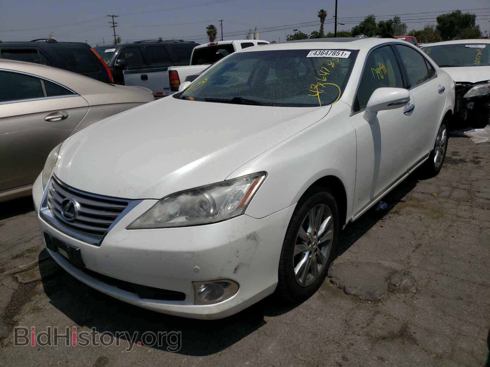2012 LEXUS ES350 - VIN: JTHBK1EG3C2505455 - Фото 2