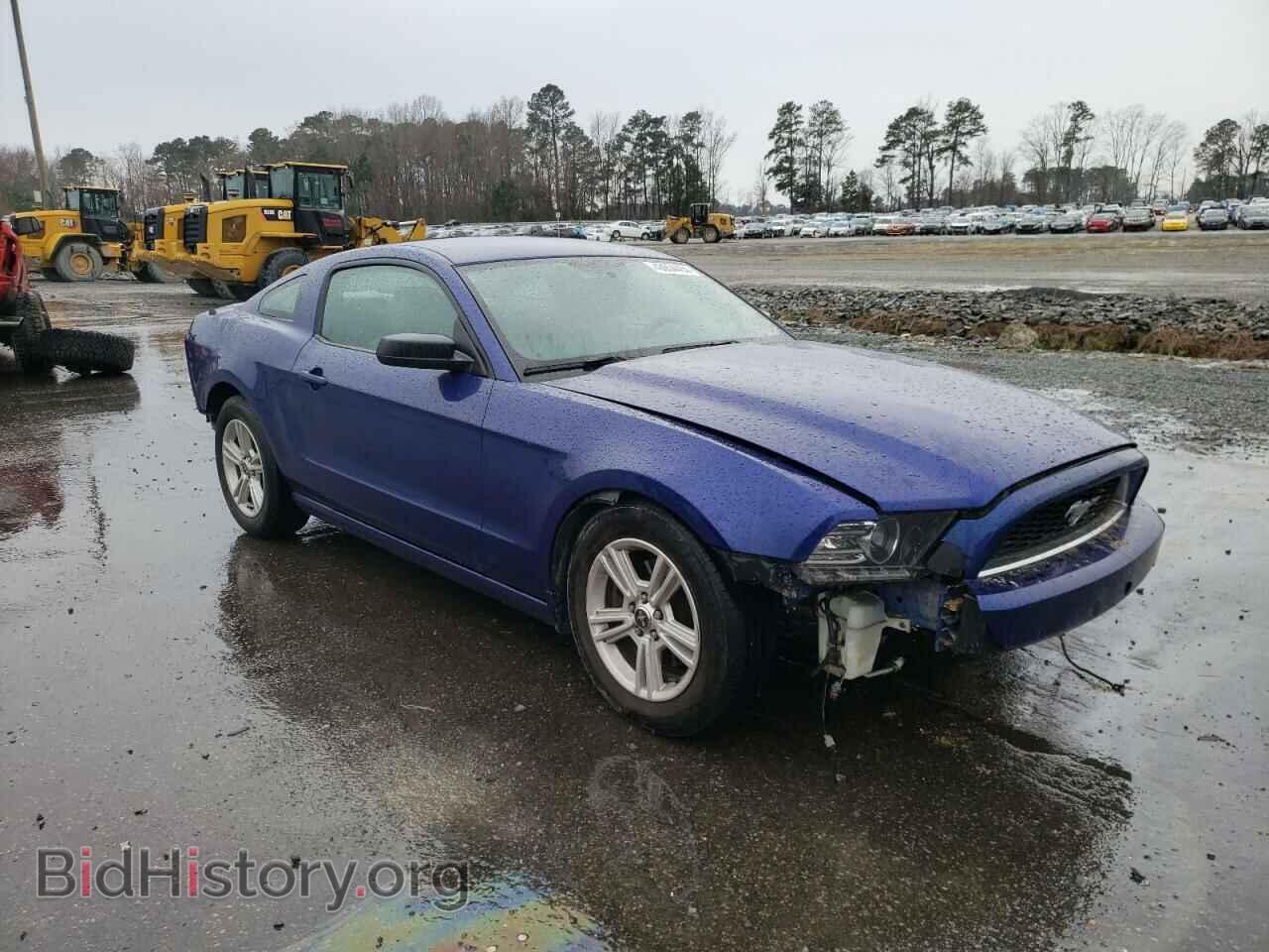 2014 FORD ALL Models - VIN: 1ZVBP8AM6E5251598 - Фото 4