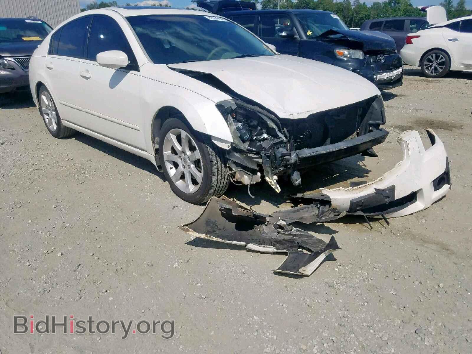 Photo 1N4BA41E48C835316 - NISSAN MAXIMA 2008