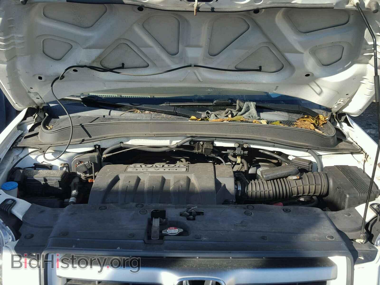 2008 HONDA PILOT - VIN: 5FNYF18268B016987 - Фото 7
