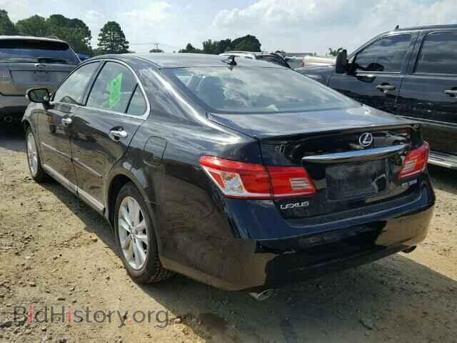 2010 LEXUS ES 350 - VIN: JTHBK1EG8A2408006 - Фото 3
