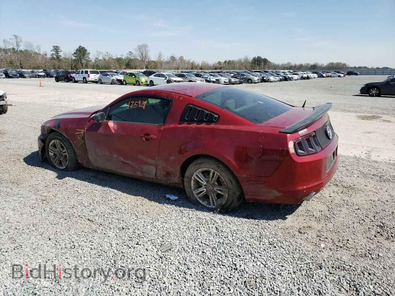 2014 FORD MUSTANG - VIN: 1ZVBP8AM1E5236149 - Фото 2