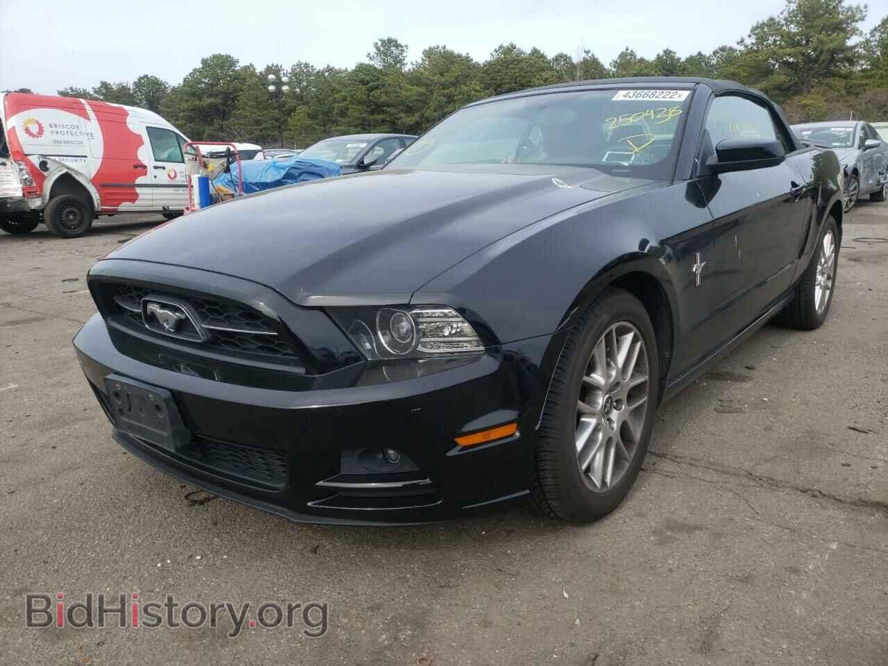 2013 FORD MUSTANG - VIN: 1ZVBP8EM0D5250438 - Фото 2