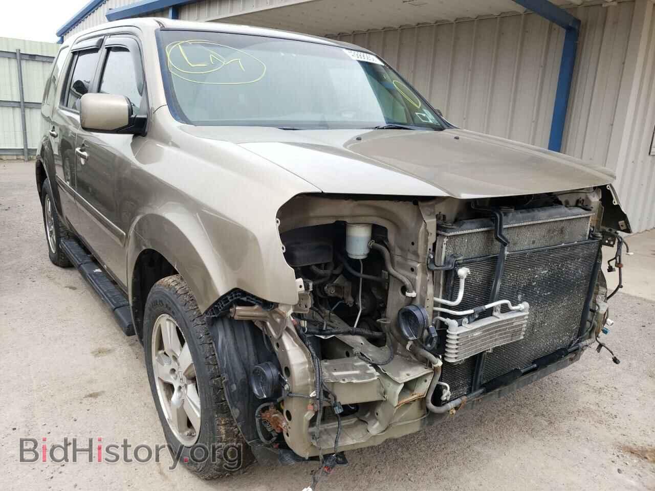 Фотография 5FNYF4H41BB019256 - HONDA PILOT 2011