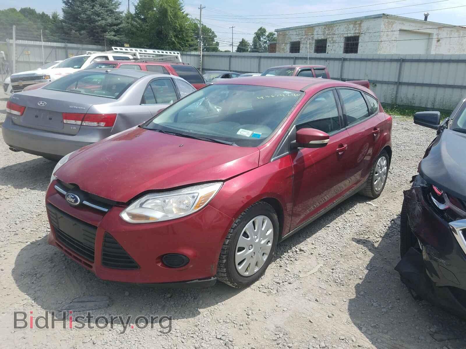 2013 FORD FOCUS - VIN: 1FADP3K22DL339771 - Фото 2