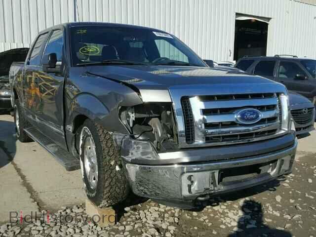 Photo 1FTEW1E81AFB70584 - FORD F150 2010