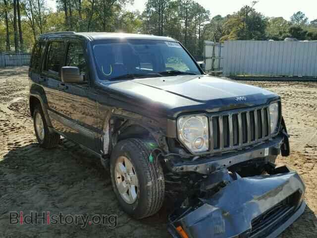 Фотография 1J4PP2GK5BW511307 - JEEP LIBERTY 2011