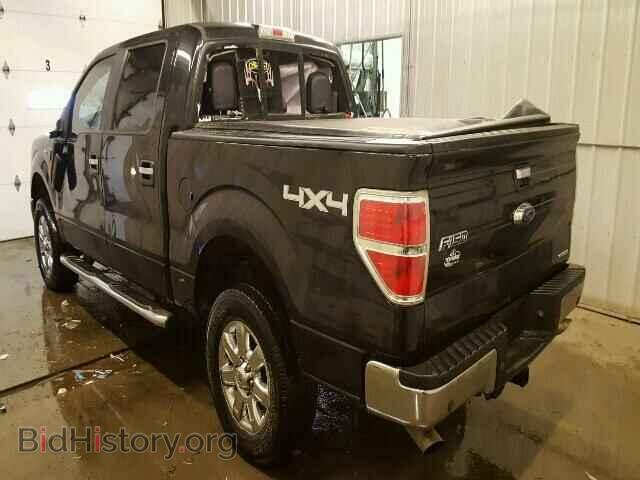 2014 FORD F150 - VIN: 1FTFW1EF9EKD52730 - Фото 3