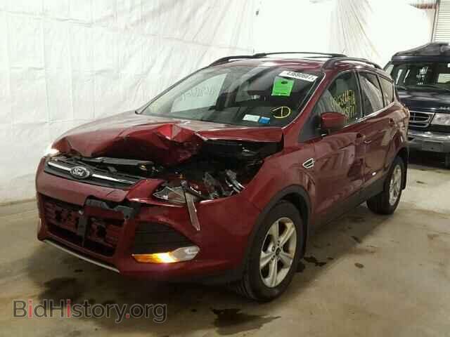 2014 FORD ESCAPE - VIN: 1FMCU0GX5EUA65863 - Фото 2