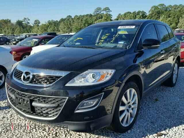 2010 MAZDA CX-9 - VIN: JM3TB2MA8A0220517 - Фото 2