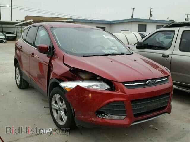 Фотография 1FMCU0GX2EUA52245 - FORD ESCAPE 2014