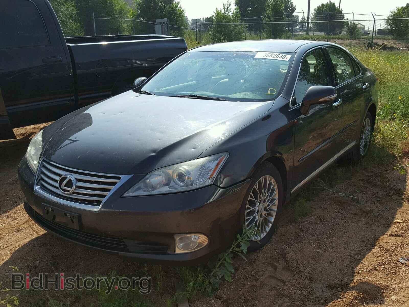 2011 LEXUS ES350 - VIN: JTHBK1EG6B2442530 - Фото 2