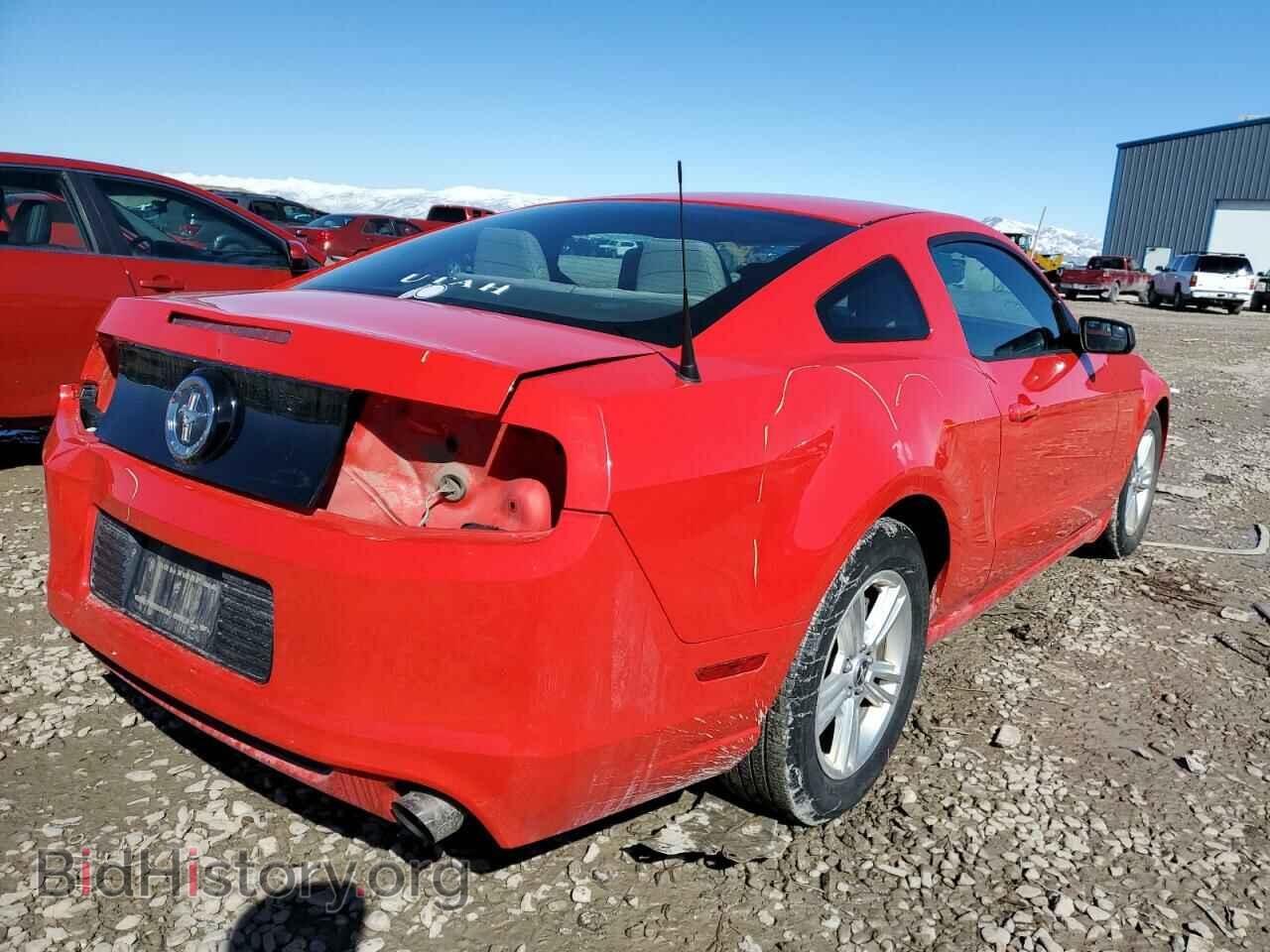 2014 FORD MUSTANG - VIN: 1ZVBP8AM9E5311695 - Фото 3