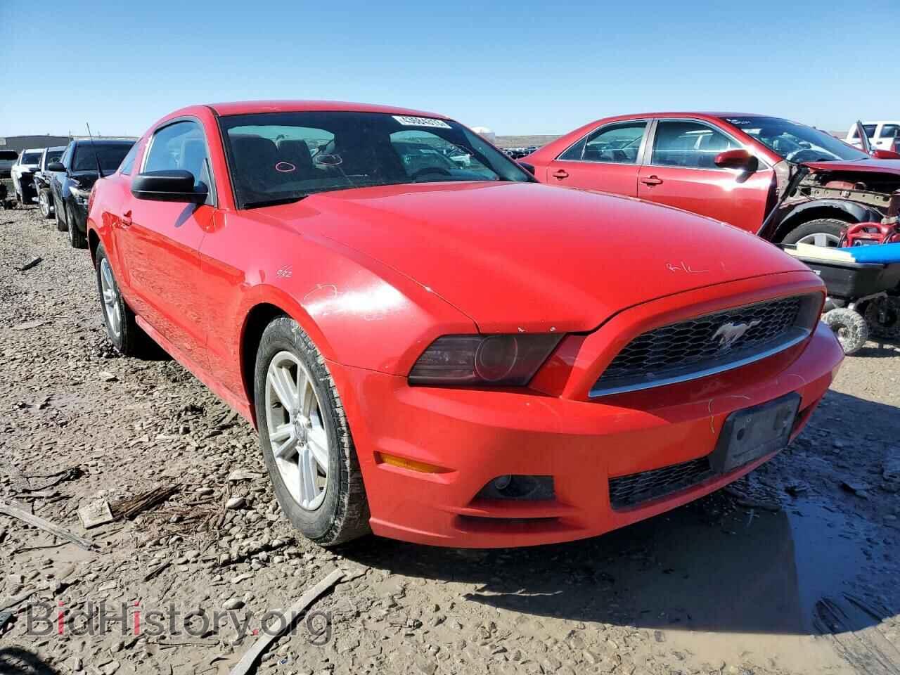 2014 FORD MUSTANG - VIN: 1ZVBP8AM9E5311695 - Фото 4